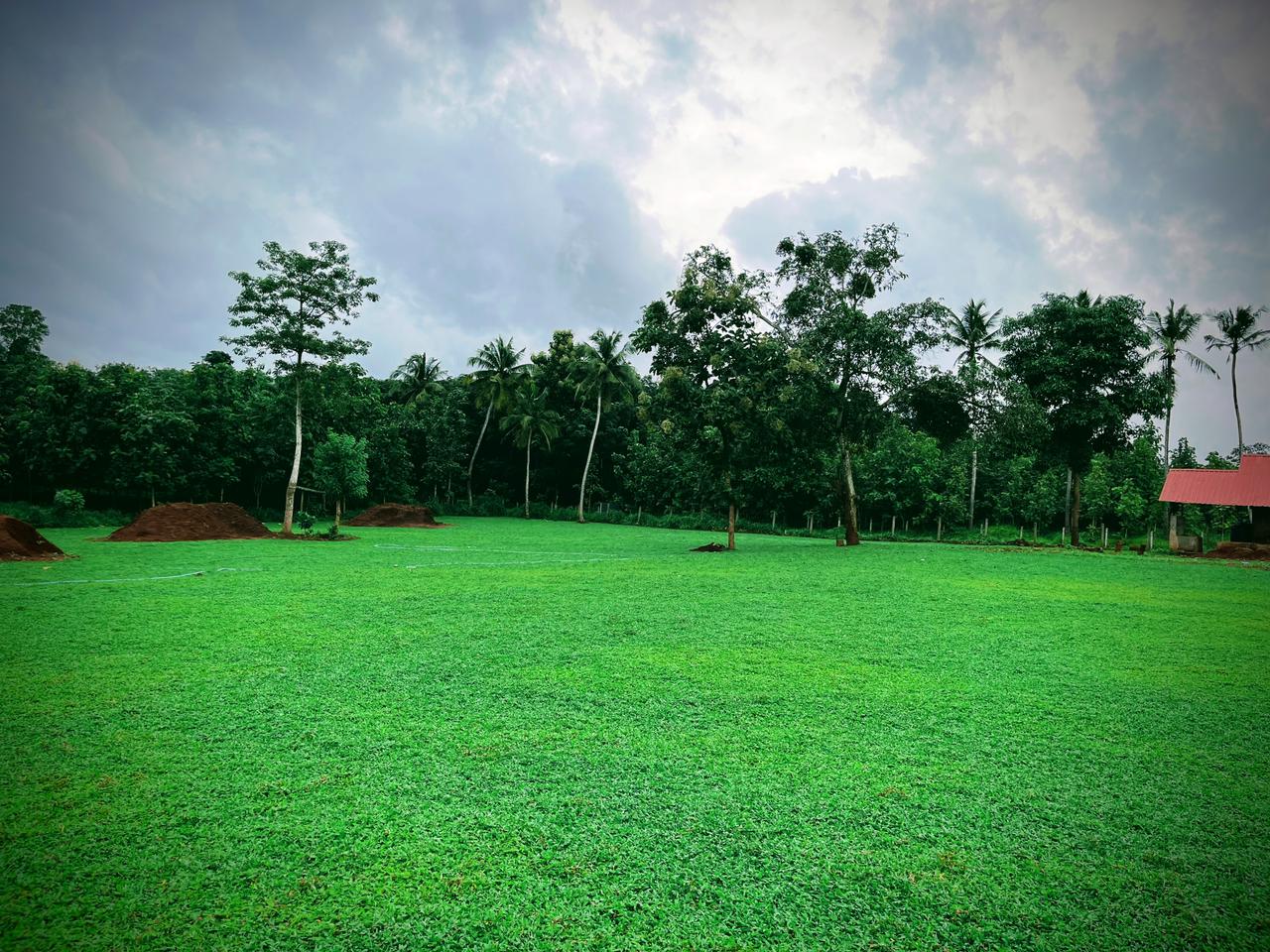 Pearl Grass Lawn 3 acres by Dibbles Bangalore